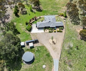 Rural / Farming commercial property for sale at 114 Cherry Tree Lane Bungendore NSW 2621