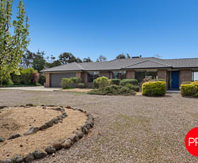 Rural / Farming commercial property for sale at 114 Cherry Tree Lane Bungendore NSW 2621 Rural / Farming commercial property for sale at 114 Cherry Tree Lane Bungendore NSW 2621