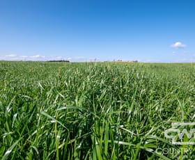 Rural / Farming commercial property for sale at 1067 Shannon Vale Road Shannon Vale NSW 2370