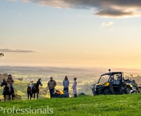 Rural / Farming commercial property for sale at 361 Dicksons Lane Orange NSW 2800