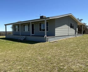 Rural / Farming commercial property for sale at 188 Bullarook Road Coolah NSW 2843