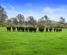 Rural / Farming commercial property for sale at 6089 Melba Highway Yea VIC 3717