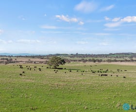 Rural / Farming commercial property for sale at 1830 Wargeila Road Yass NSW 2582