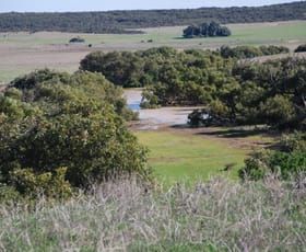 Rural / Farming commercial property for sale at Bootenal WA 6532