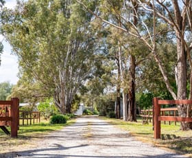 Rural / Farming commercial property for sale at 52 Morisons Road Mangalore VIC 3663