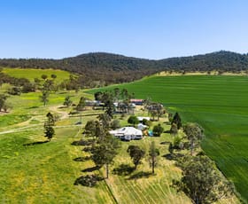 Rural / Farming commercial property for sale at 1023 Greenmount - Hirstvale Road Hirstglen QLD 4359