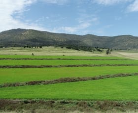 Rural / Farming commercial property for sale at Lot 1 874 Top Swanfels Road Swanfels QLD 4371