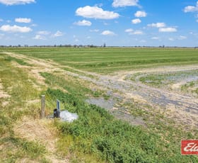 Rural / Farming commercial property for sale at 459 Echuca West School Road Echuca VIC 3564