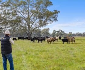 Rural / Farming commercial property for sale at Lot 2 & Lot 1, PS 72 Basin Road Tarnook VIC 3670