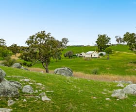 Rural / Farming commercial property for sale at 827 Jerrara Road Narrawa NSW 2583