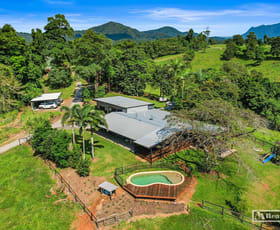Rural / Farming commercial property for sale at 370 Hernon Road Fitzgerald Creek QLD 4860