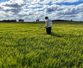 Rural / Farming commercial property for sale at Kookaburragong 8048 The Gipps Way Condobolin NSW 2877