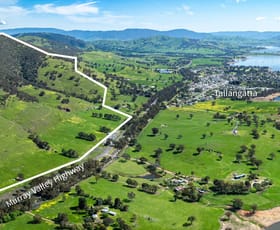 Rural / Farming commercial property for sale at 'Bolga Hill' Murray Valley Highway Tallangatta VIC 3700