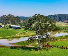 Rural / Farming commercial property for sale at 11934 Clarence Way Sandilands NSW 2469