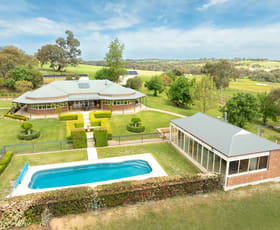 Rural / Farming commercial property for sale at 101 Golden Grove Road Young NSW 2594