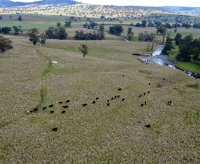 Rural / Farming commercial property for sale at 955 "Wirringulla" & "Gummun" Aggregation Coulsons Creek Road Merriwa NSW 2329