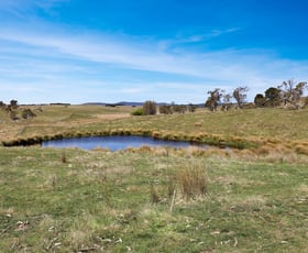 Rural / Farming commercial property for sale at "Glenroy" Corrowong Road Delegate NSW 2633
