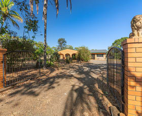 Rural / Farming commercial property for sale at 578 Ray Road Mareeba QLD 4880