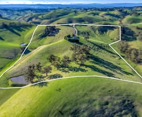 Rural / Farming commercial property for sale at 91 Mountain View- McDonalds Track Mountain View VIC 3988