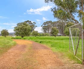 Rural / Farming commercial property for sale at 391 Forest Grove Road Forest Grove WA 6286