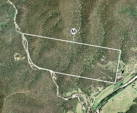 Rural / Farming commercial property for sale at 723 Big Jack Mountain Road New Buildings NSW 2550