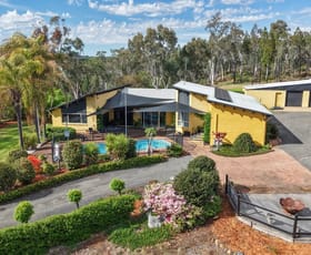 Rural / Farming commercial property for sale at 22 Hawkins Lane Coonabarabran NSW 2357