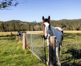Rural / Farming commercial property for sale at 29 Marylands Close Hillville NSW 2430