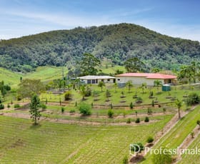 Rural / Farming commercial property for sale at 108 Yeltukka Road Wilsons Pocket QLD 4570