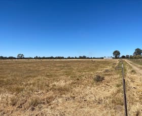 Rural / Farming commercial property for sale at 748 Hinkson Road Koondrook VIC 3580