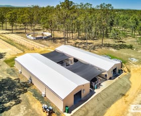 Rural / Farming commercial property for sale at 16 Jamieson Road Churchable QLD 4311