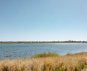 Rural / Farming commercial property for sale at Dalby QLD 4405