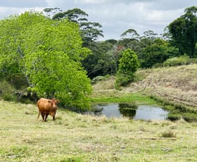 Rural / Farming commercial property for sale at 50 Horne Road Mount Mee QLD 4521 Rural / Farming commercial property for sale at 50 Horne Road Mount Mee QLD 4521