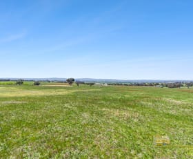 Rural / Farming commercial property for sale at 399 Mount Rankin Road Mount Rankin NSW 2795
