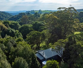 Rural / Farming commercial property for sale at 6060 Waterfall Way Dorrigo NSW 2453