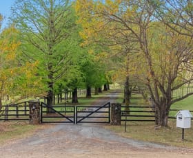 Rural / Farming commercial property for sale at 177 Armstrong Road Biddaddaba QLD 4275