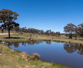 Rural / Farming commercial property for sale at 1713 Bungendore Road Bywong NSW 2621 Rural / Farming commercial property for sale at 1713 Bungendore Road Bywong NSW 2621