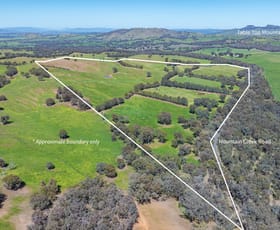 Rural / Farming commercial property for sale at 'High View'/778 Mountain Creek Road Mullengandra NSW 2644