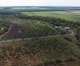 Rural / Farming commercial property for sale at 226 Stonnington Lane Moree NSW 2400