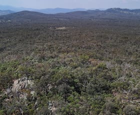 Rural / Farming commercial property for sale at Lot 8 Binghi Road Tenterfield NSW 2372