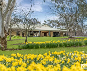 Rural / Farming commercial property for sale at 112 Caddys Lane Tylden VIC 3444