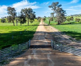 Rural / Farming commercial property for sale at Lot 1/279 & Lot 2/281 Jingellic Road Holbrook NSW 2644