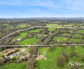 Rural / Farming commercial property for sale at 543 Benalla-Tatong Road Benalla VIC 3672