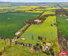 Rural / Farming commercial property for sale at 223 Morans Road Bribbaree NSW 2594