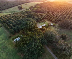 Rural / Farming commercial property for sale at 241 Alcorn Road Knockrow NSW 2479