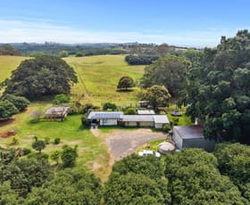 Rural / Farming commercial property for sale at 241 Alcorn Road Knockrow NSW 2479