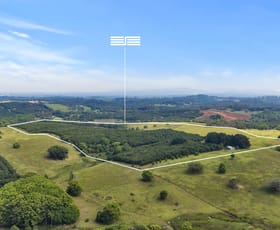 Rural / Farming commercial property for sale at 241 Alcorn Road Knockrow NSW 2479