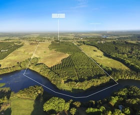 Rural / Farming commercial property for sale at 241 Alcorn Road Knockrow NSW 2479