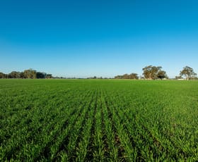 Rural / Farming commercial property for sale at 479 Stokes Road Strathmerton VIC 3641