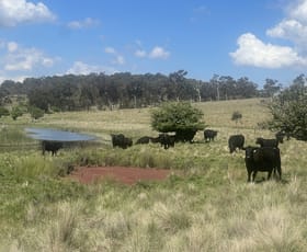 Rural / Farming commercial property for sale at 400 Bullock Mountain Road Glen Innes NSW 2370
