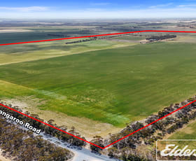 Rural / Farming commercial property for sale at 571 Kangaroo Road Langhorne Creek SA 5255